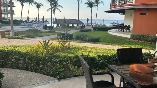 patio view