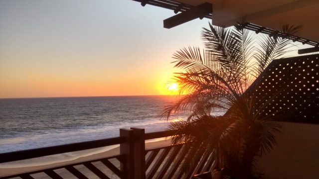 EE625FD9-842A-47AF-B522-56A54E1268B6